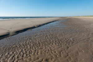 mkr20210607-DSC03584-Verbeterd